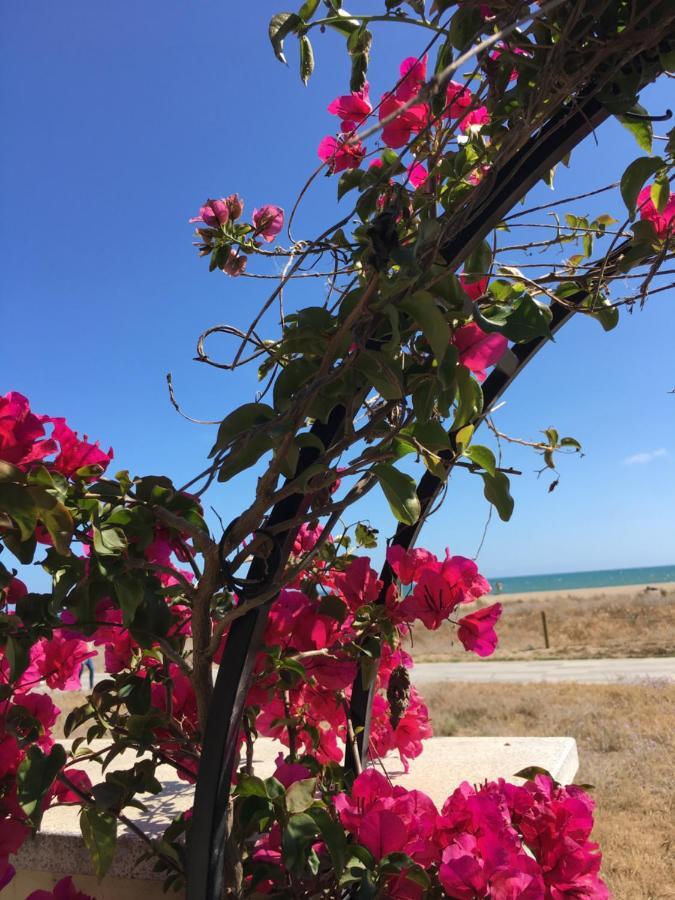 Beach Flat With Garden กาสเตย์เดเฟลส์ ภายนอก รูปภาพ